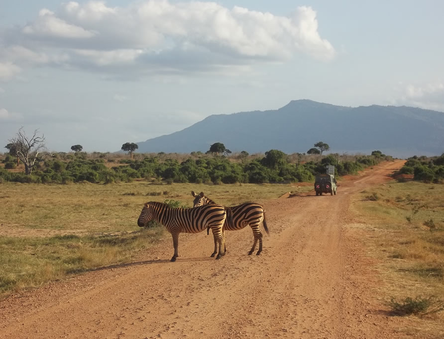 2 Days Taita Hills & Salt Lick Safari