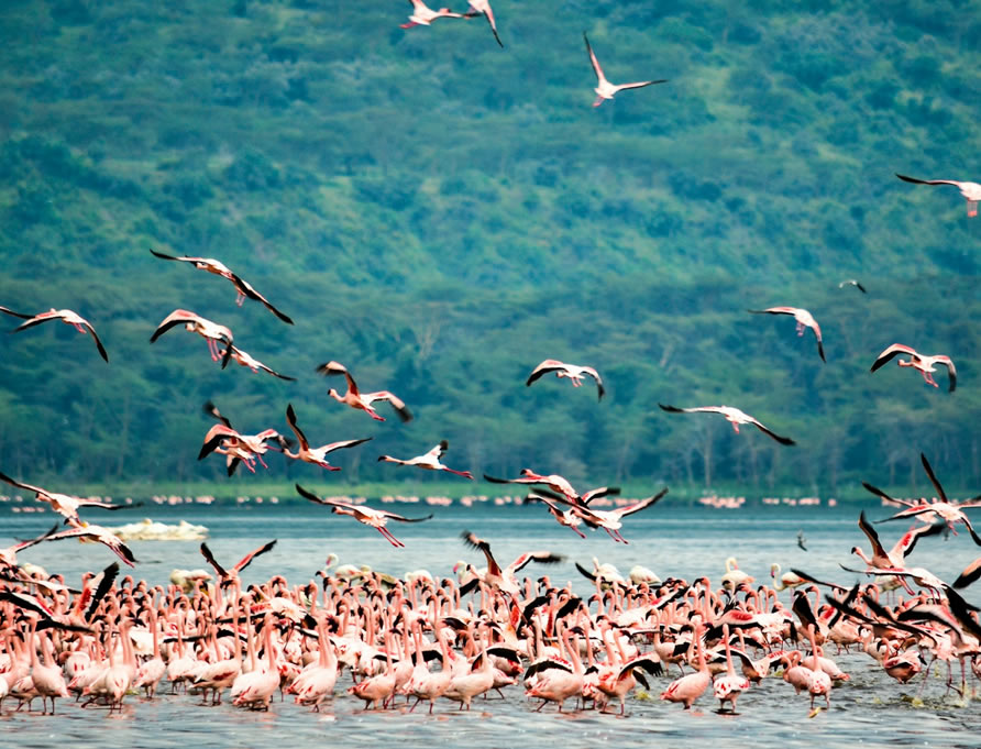 3 Days: Samburu National Reserve Adventures gallery image 4