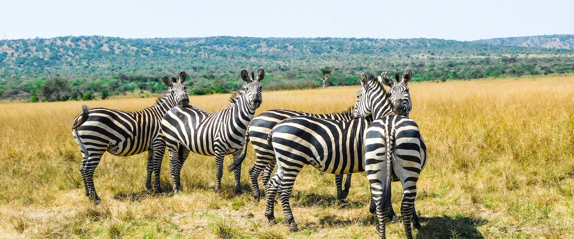 4 Days Amboseli, Tsavo West & Tsavo East Safari