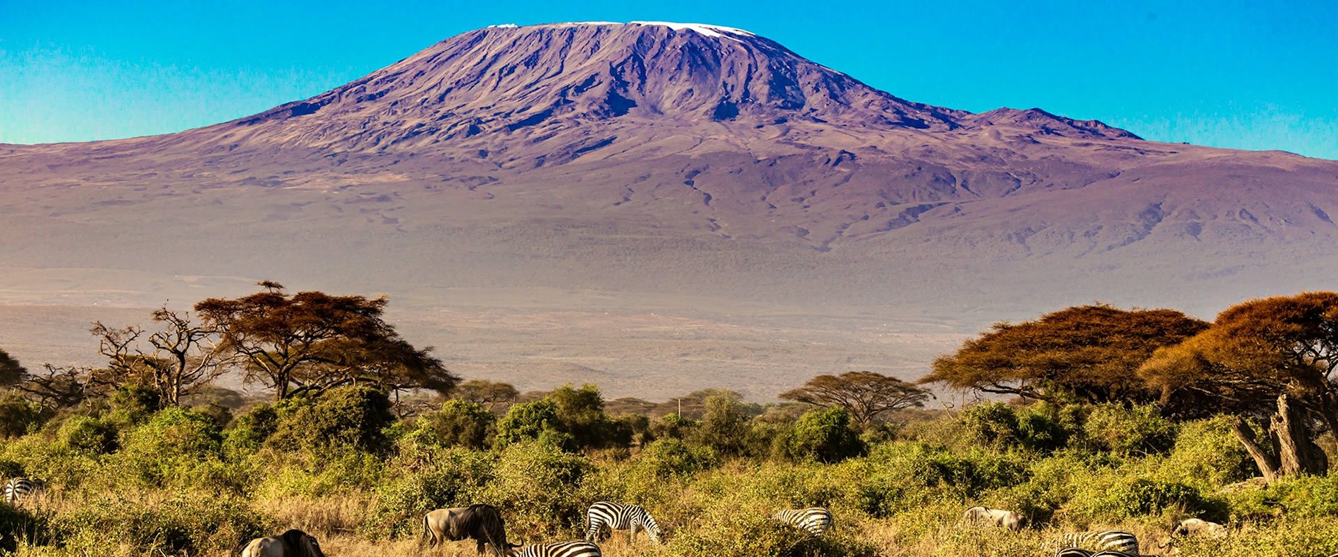 5 Days Amboseli, Tsavo West & Tsavo East Safari