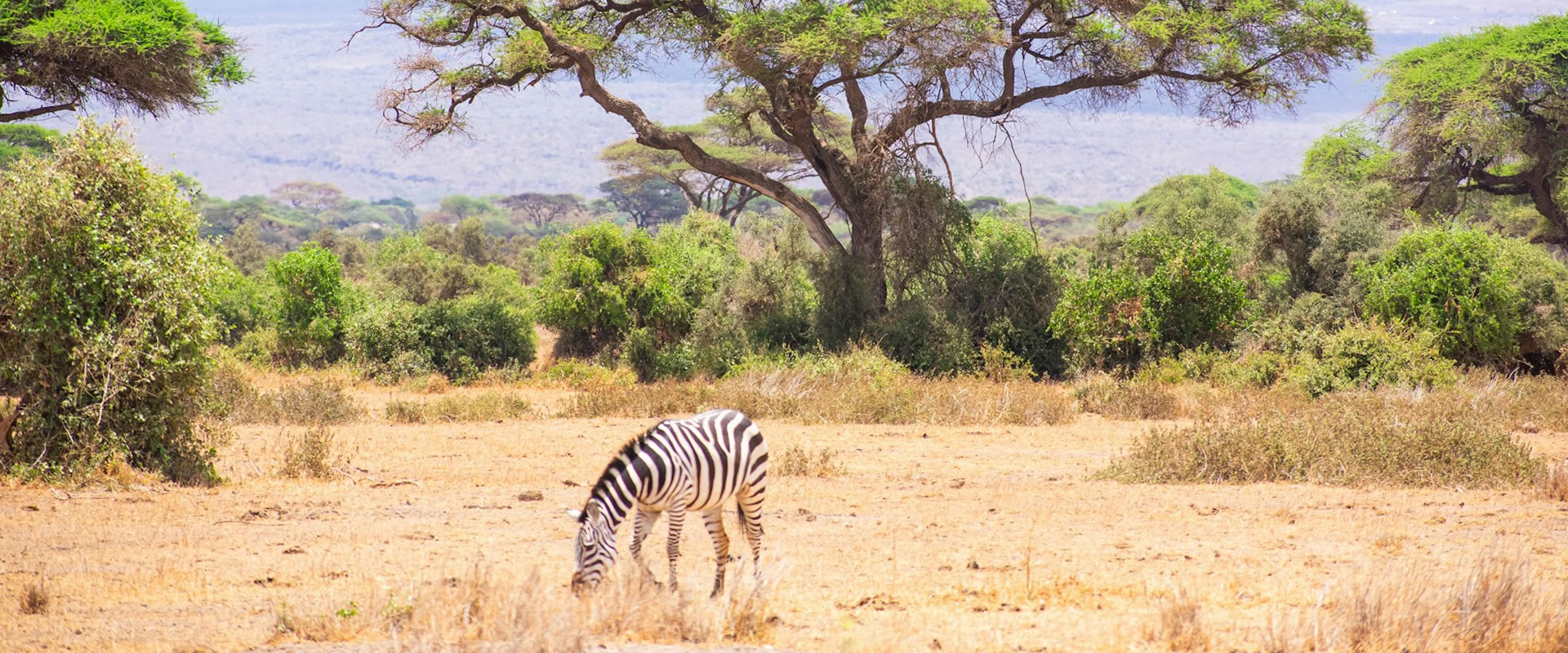 5 Days Aberdare, Samburu & Mount Kenya Safari