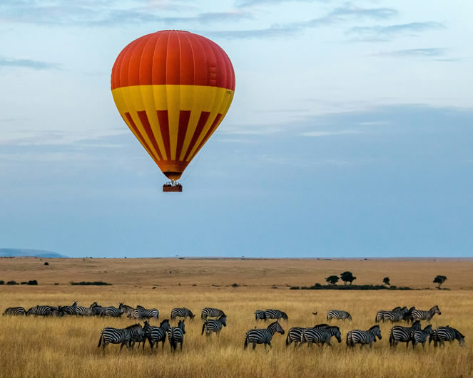 Kenya game drive