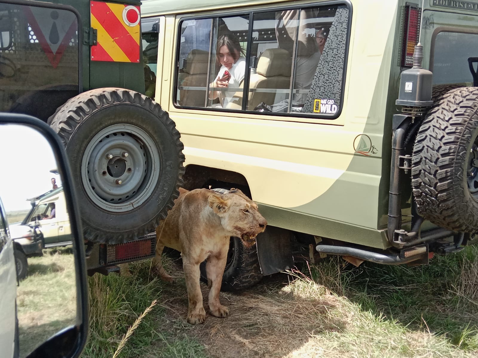 Safari Land Cruiser