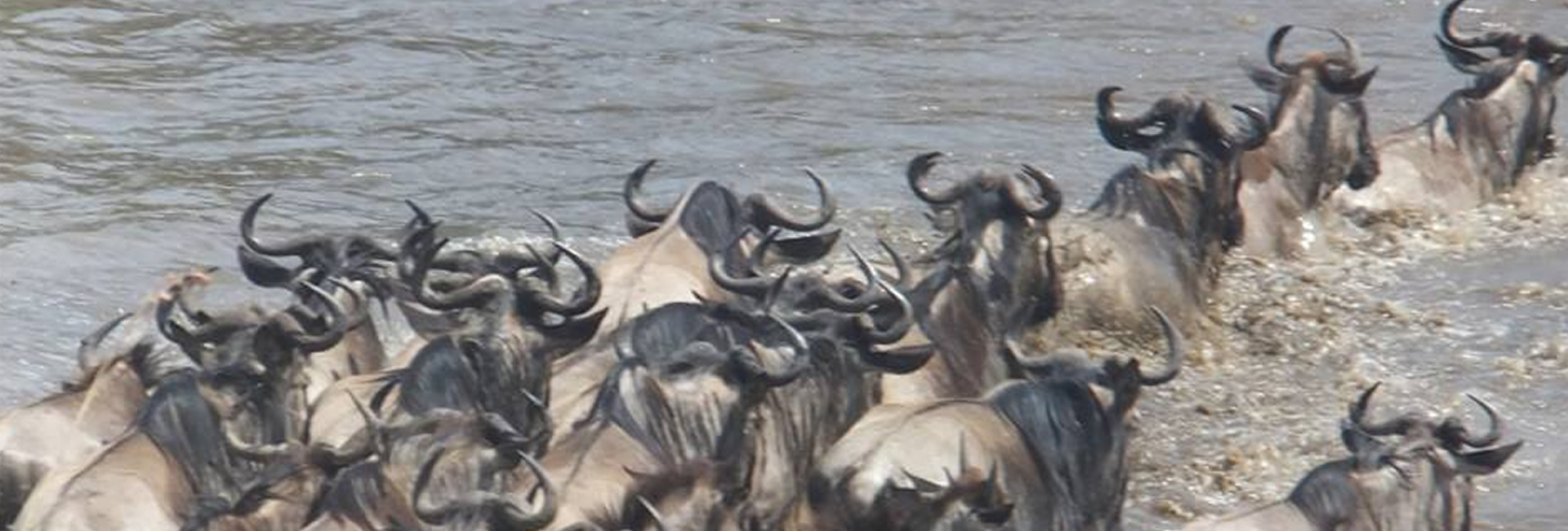 Masai Mara